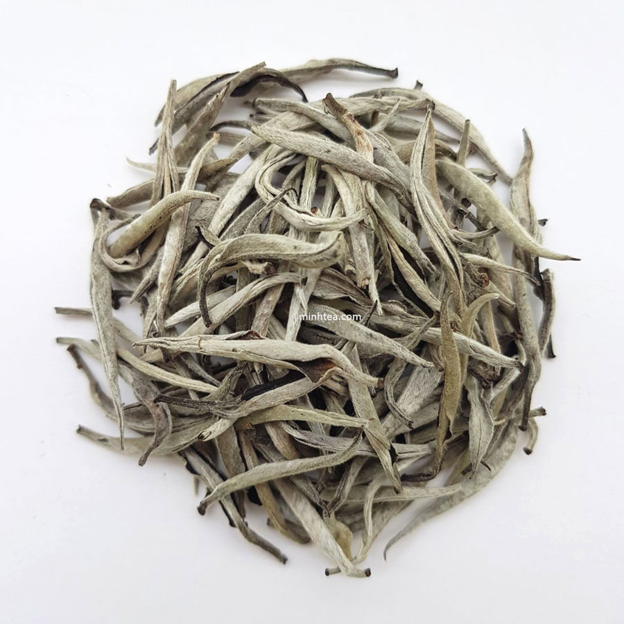 Các loại trà Shan Tuyết cổ thụ